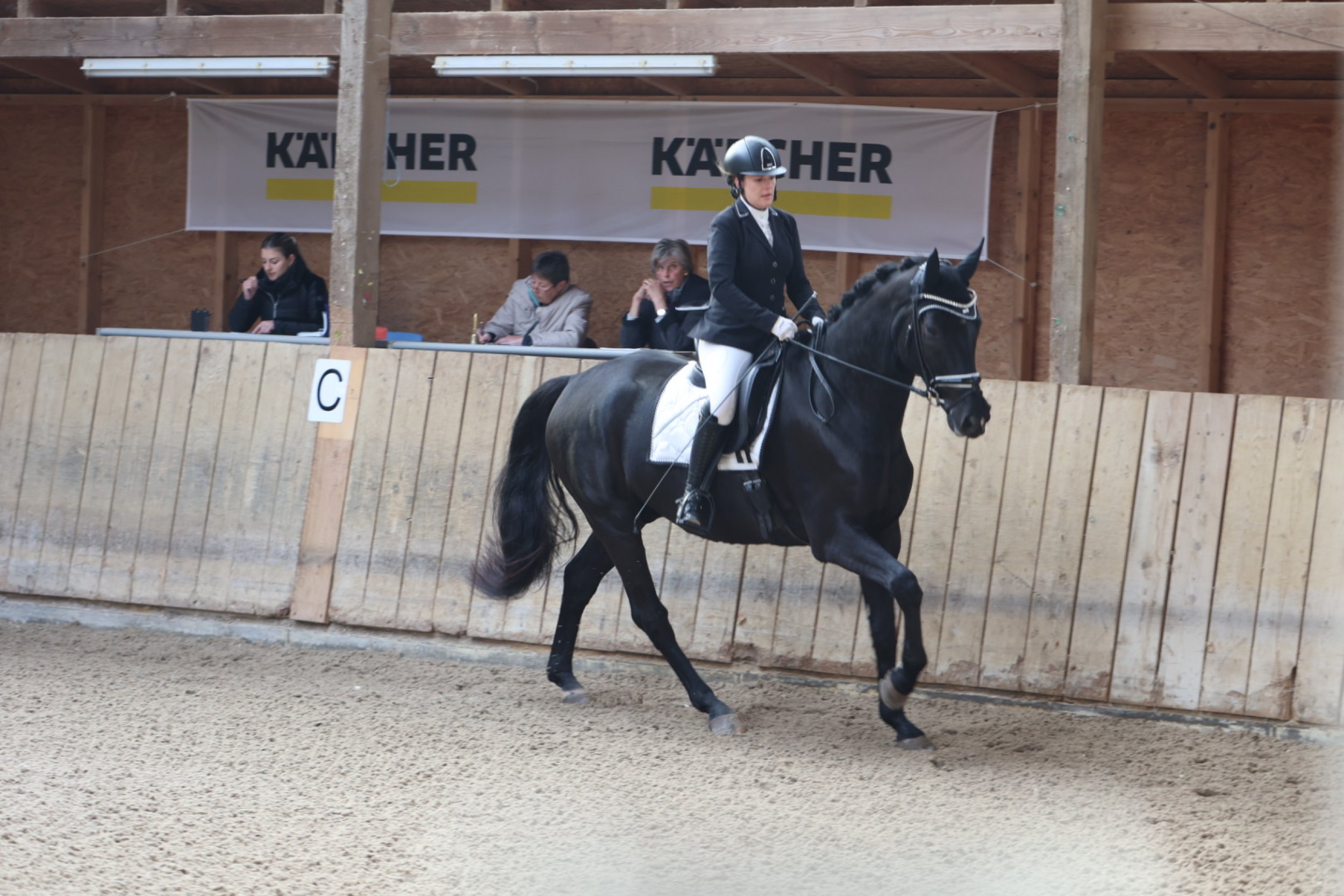 Reitabzeichen 2022